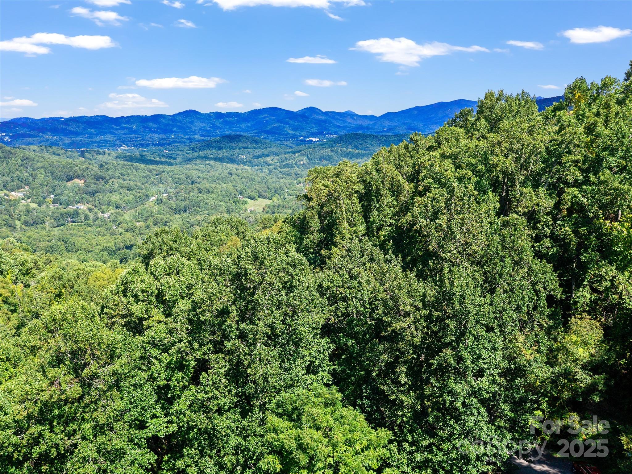 125 Floribunda Path Asheville NC 28803