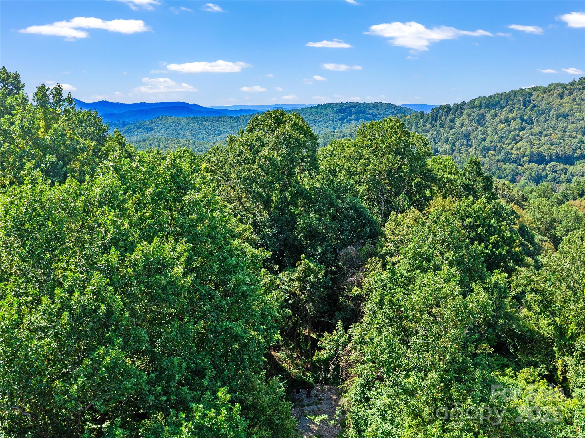 125 Floribunda Path Asheville NC 28803