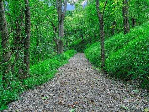 125 Floribunda Path Asheville NC 28803