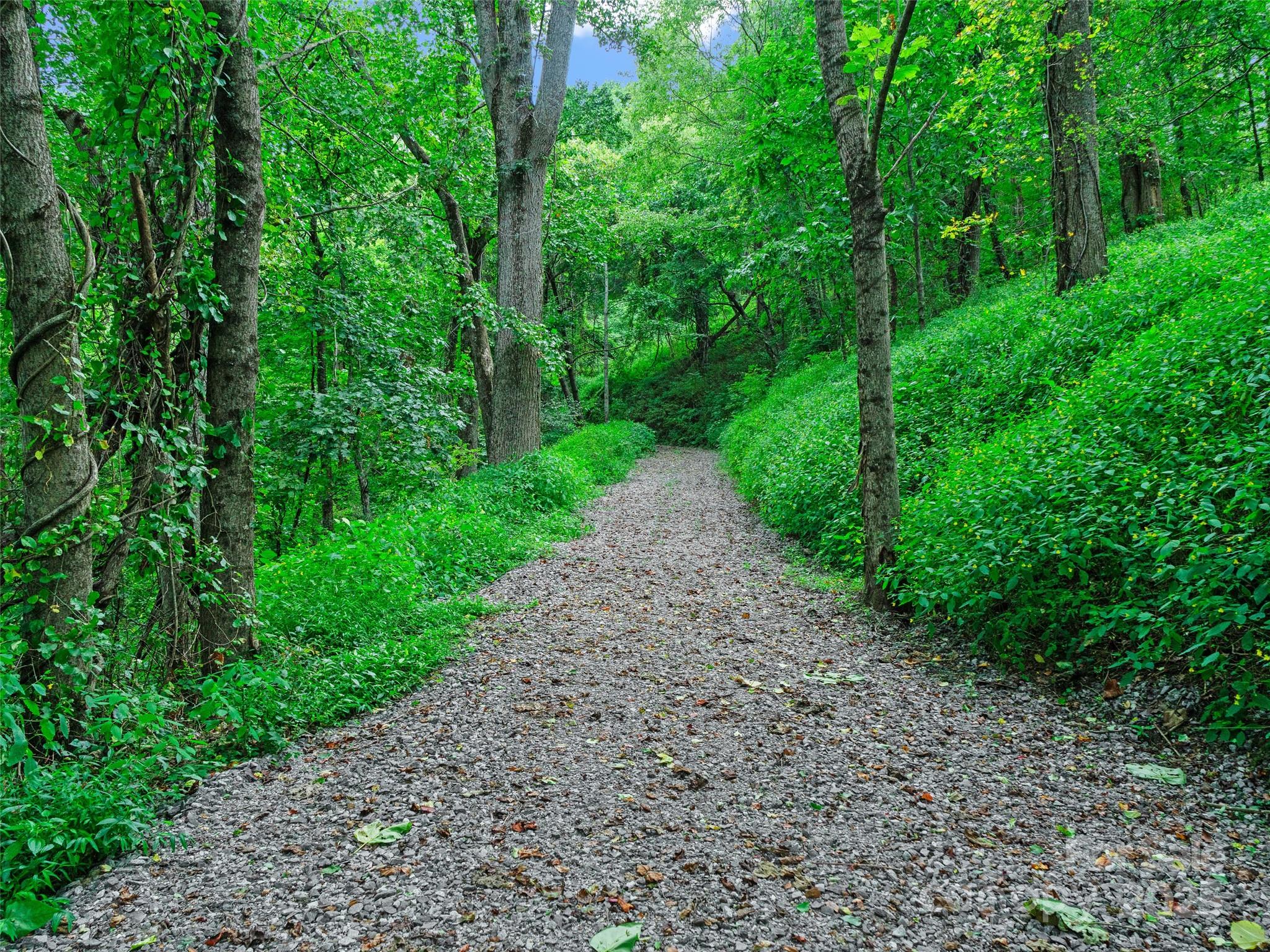 125 Floribunda Path Asheville NC 28803