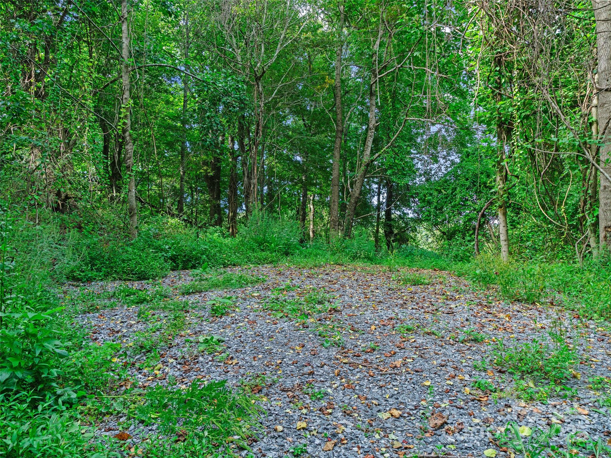 125 Floribunda Path Asheville NC 28803