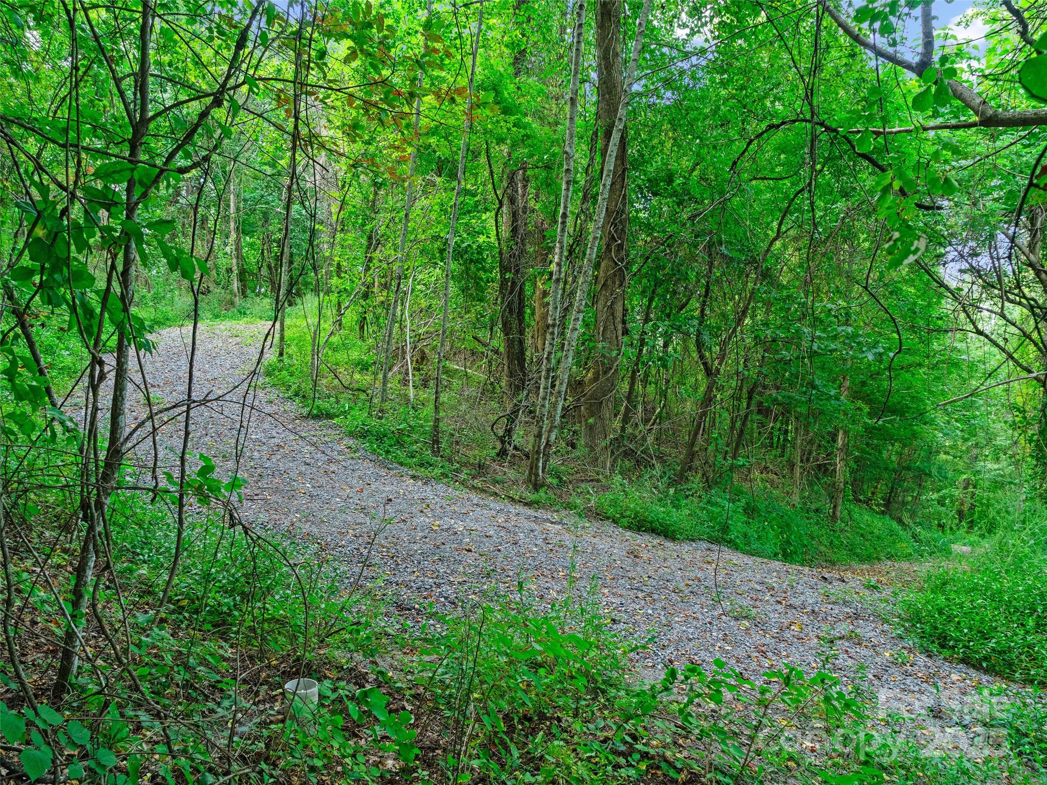 125 Floribunda Path Asheville NC 28803