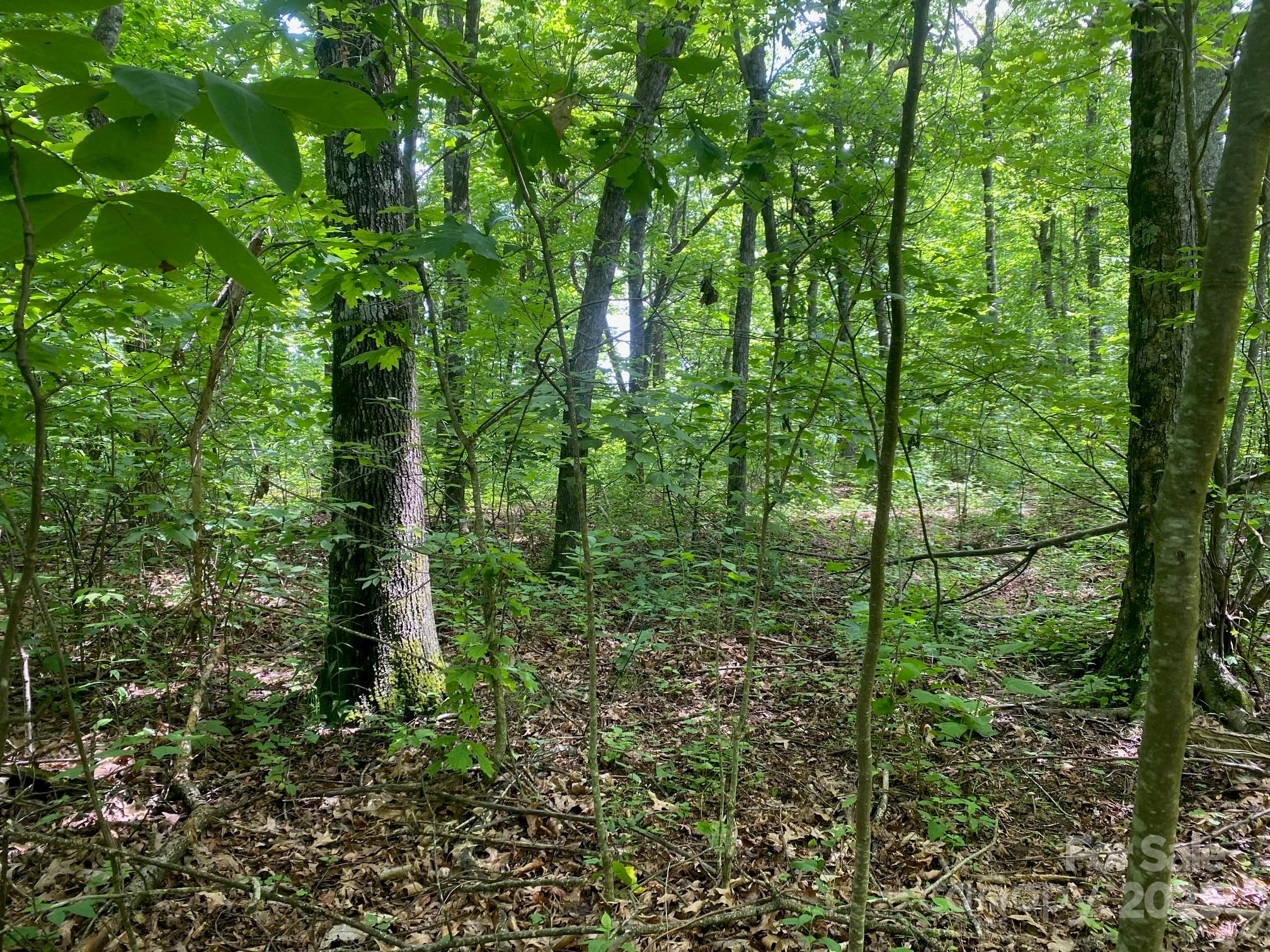 129 High Cliffs Trail Black Mountain NC 28711