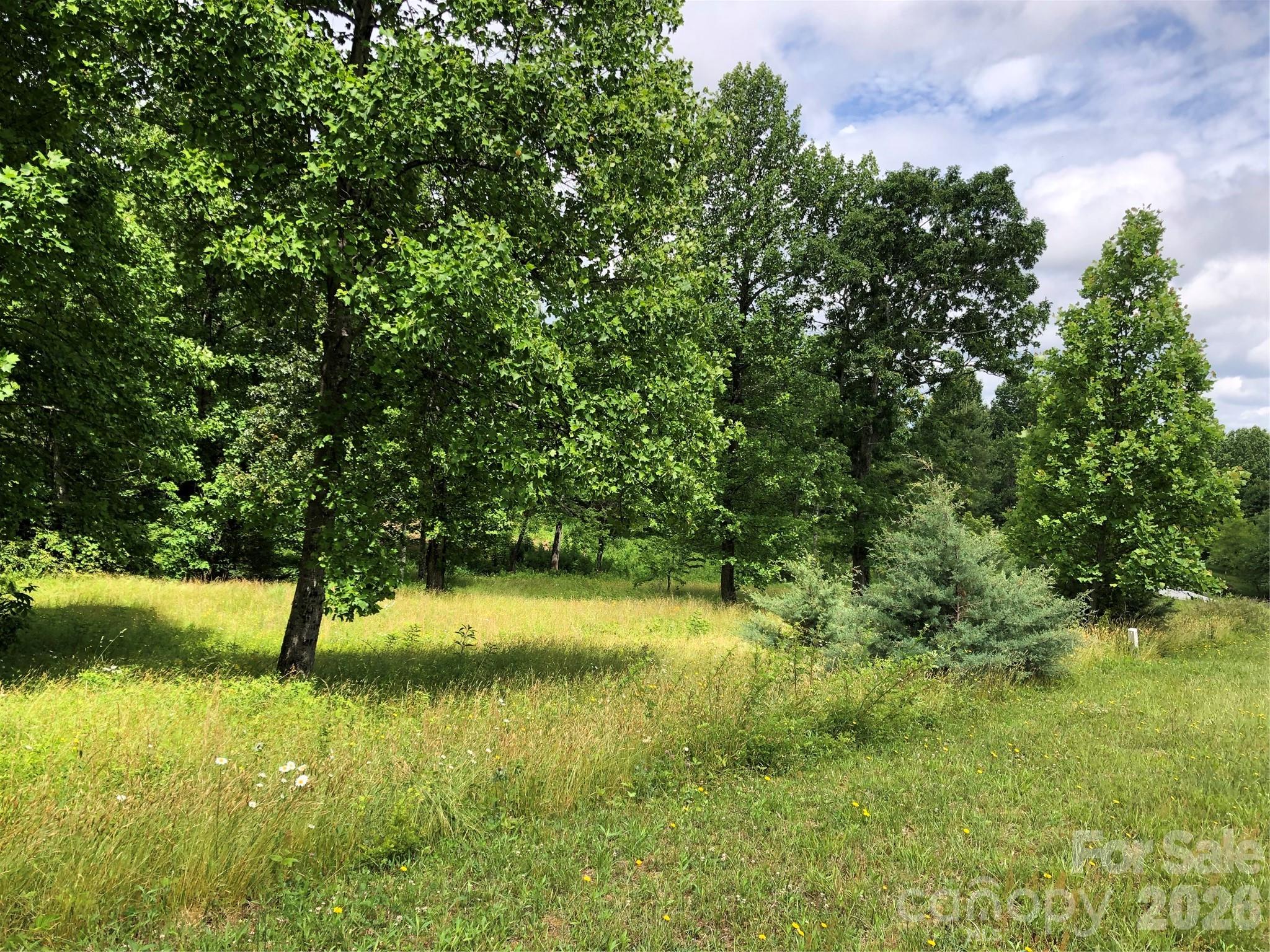 4 Ambrose Court Flat Rock NC 28731