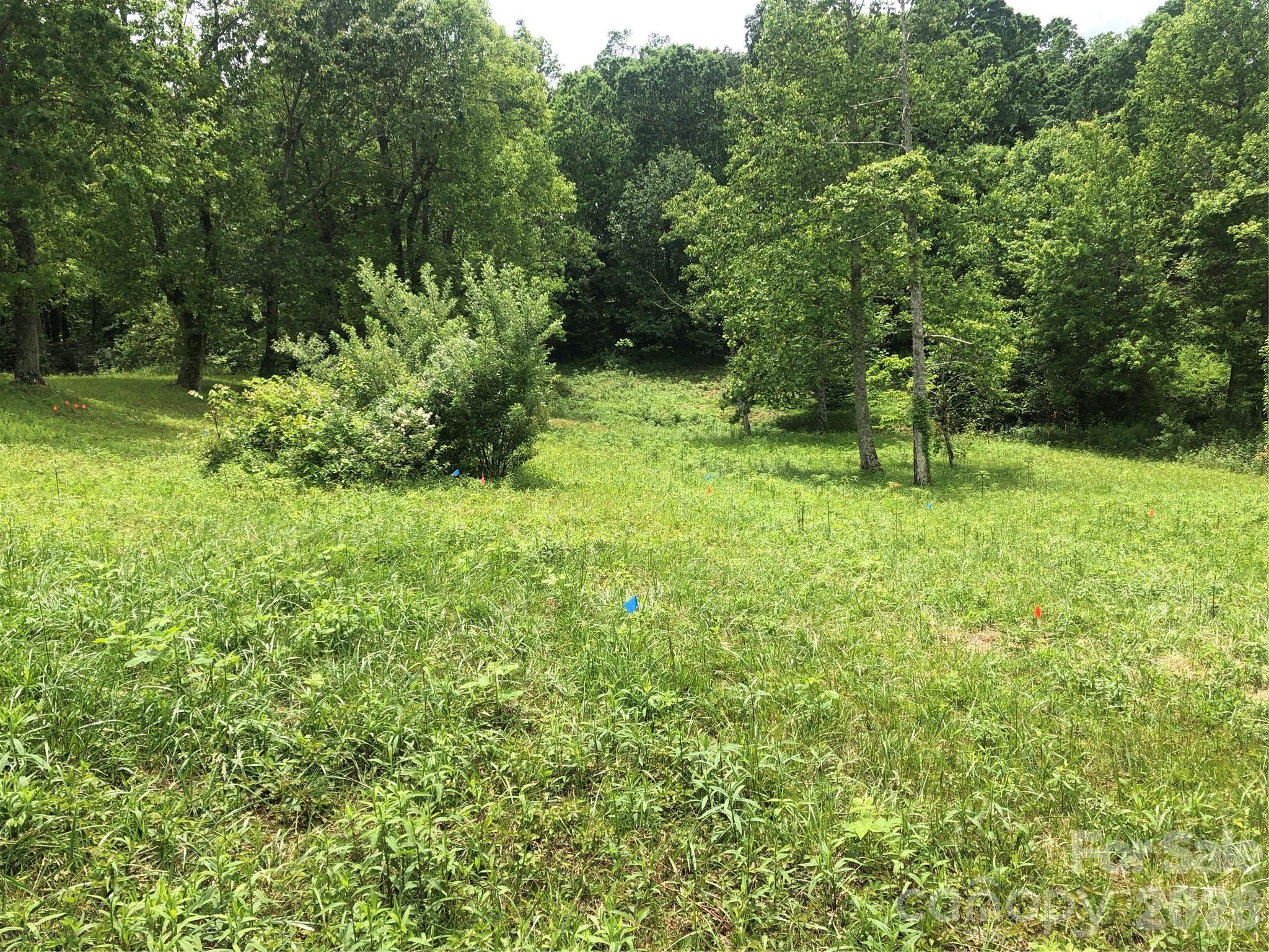 4 Ambrose Court Flat Rock NC 28731