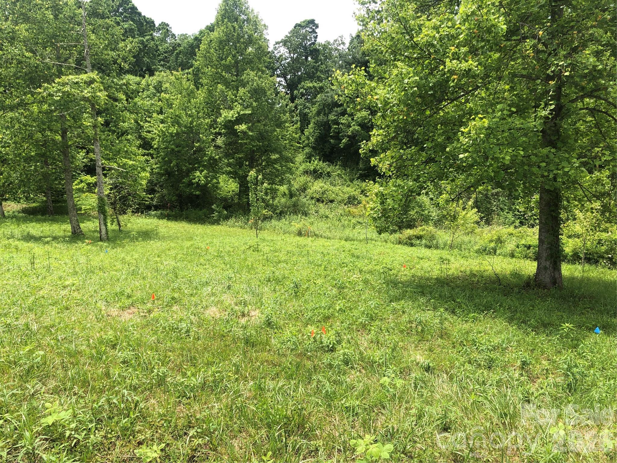 4 Ambrose Court Flat Rock NC 28731