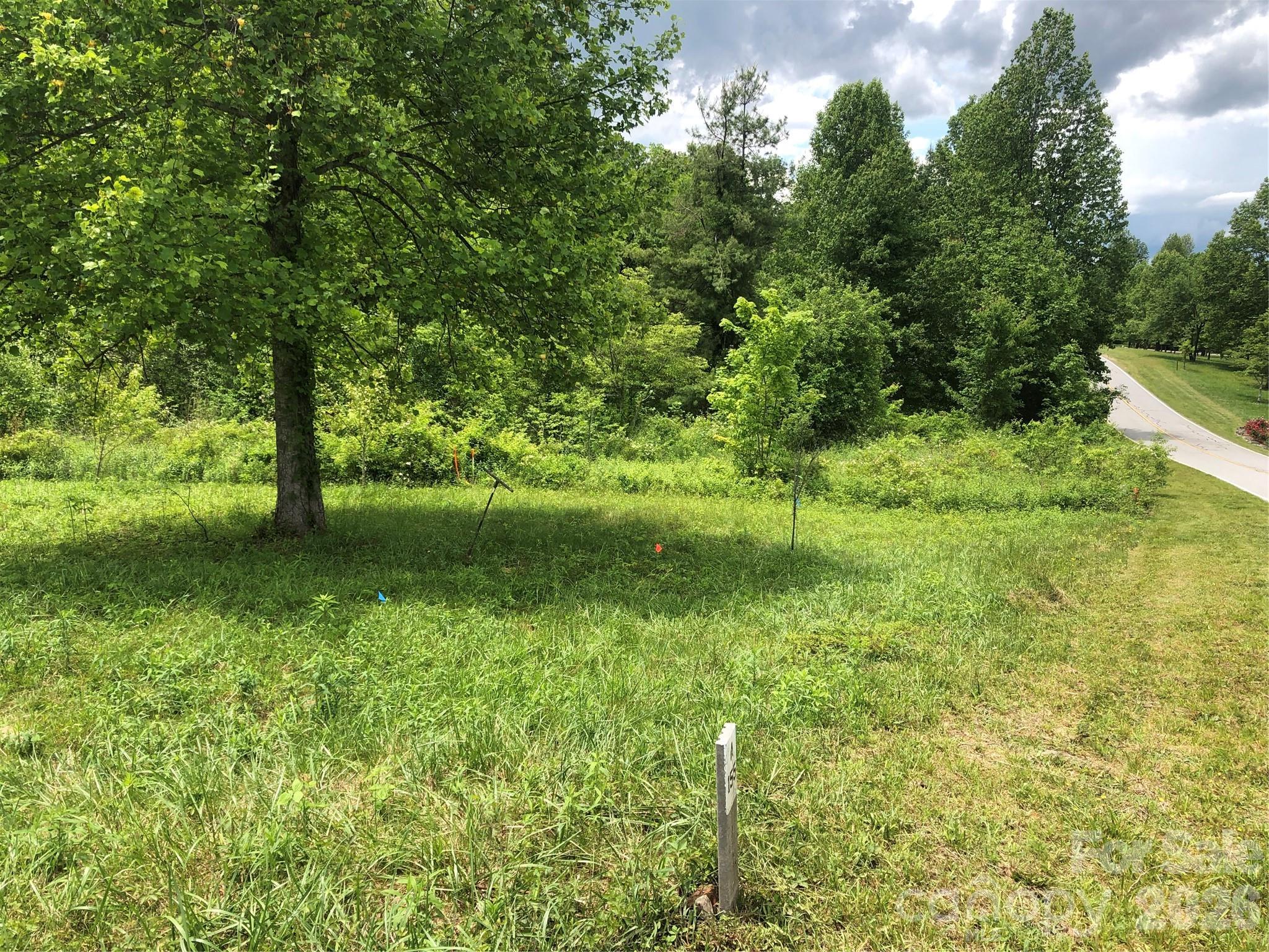 4 Ambrose Court Flat Rock NC 28731