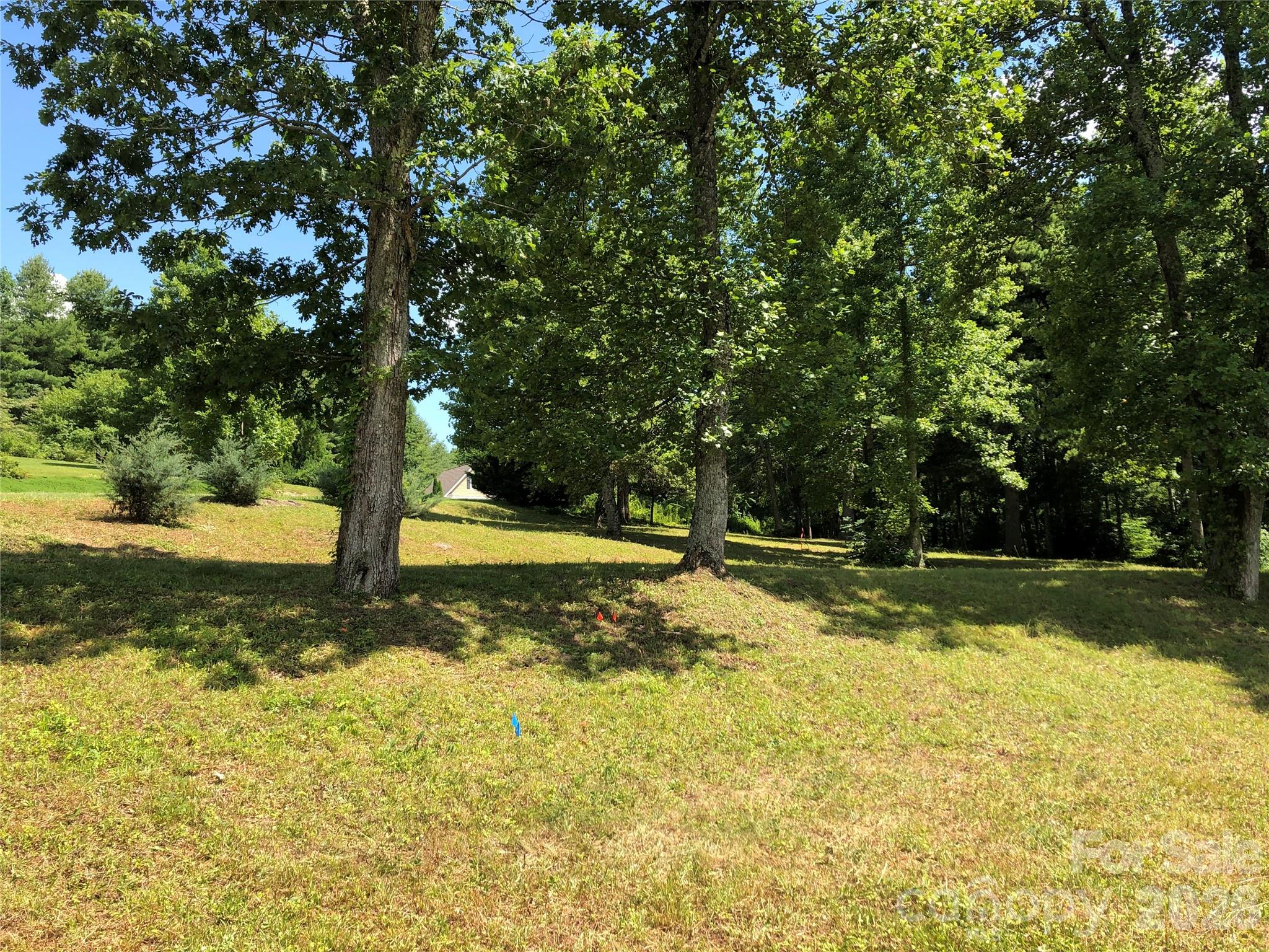 4 Ambrose Court Flat Rock NC 28731