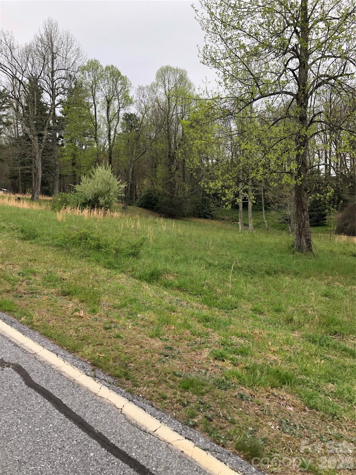 4 Ambrose Court Flat Rock NC 28731