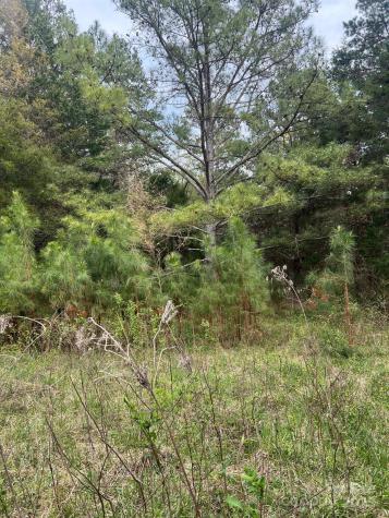 11055 Graybark Road Midland NC 28107