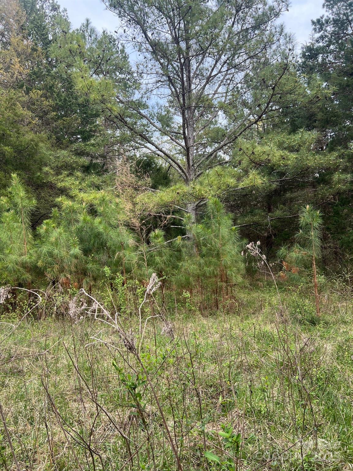 11055 Graybark Road Midland NC 28107
