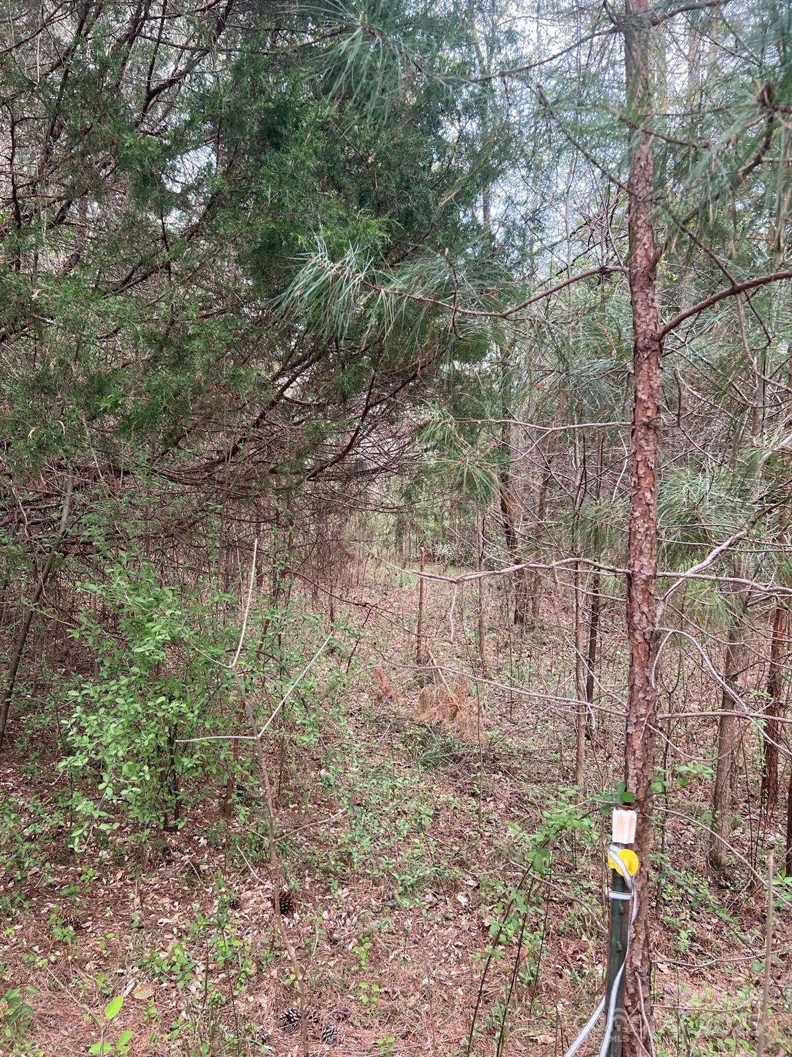 11055 Graybark Road Midland NC 28107