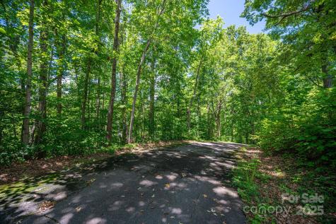 Lot 166 Plantation Drive Rutherfordton NC 28139