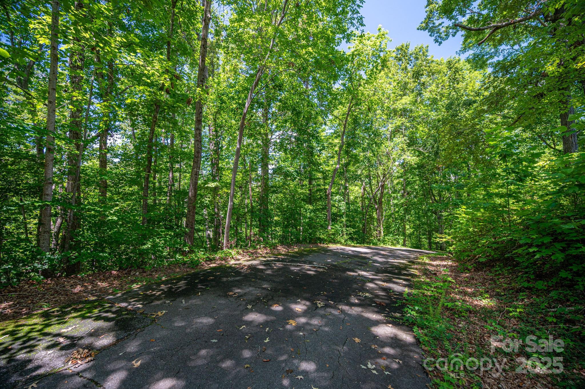 Lot 166 Plantation Drive Rutherfordton NC 28139