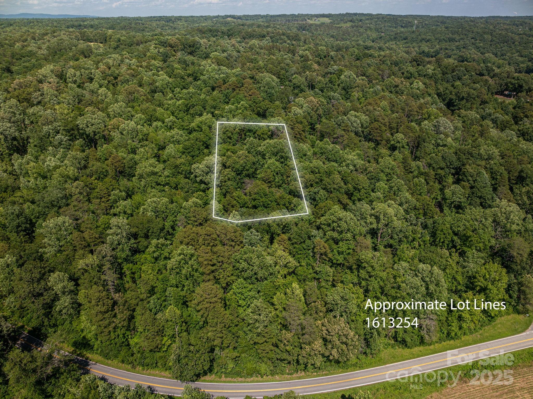 Lot 166 Plantation Drive Rutherfordton NC 28139