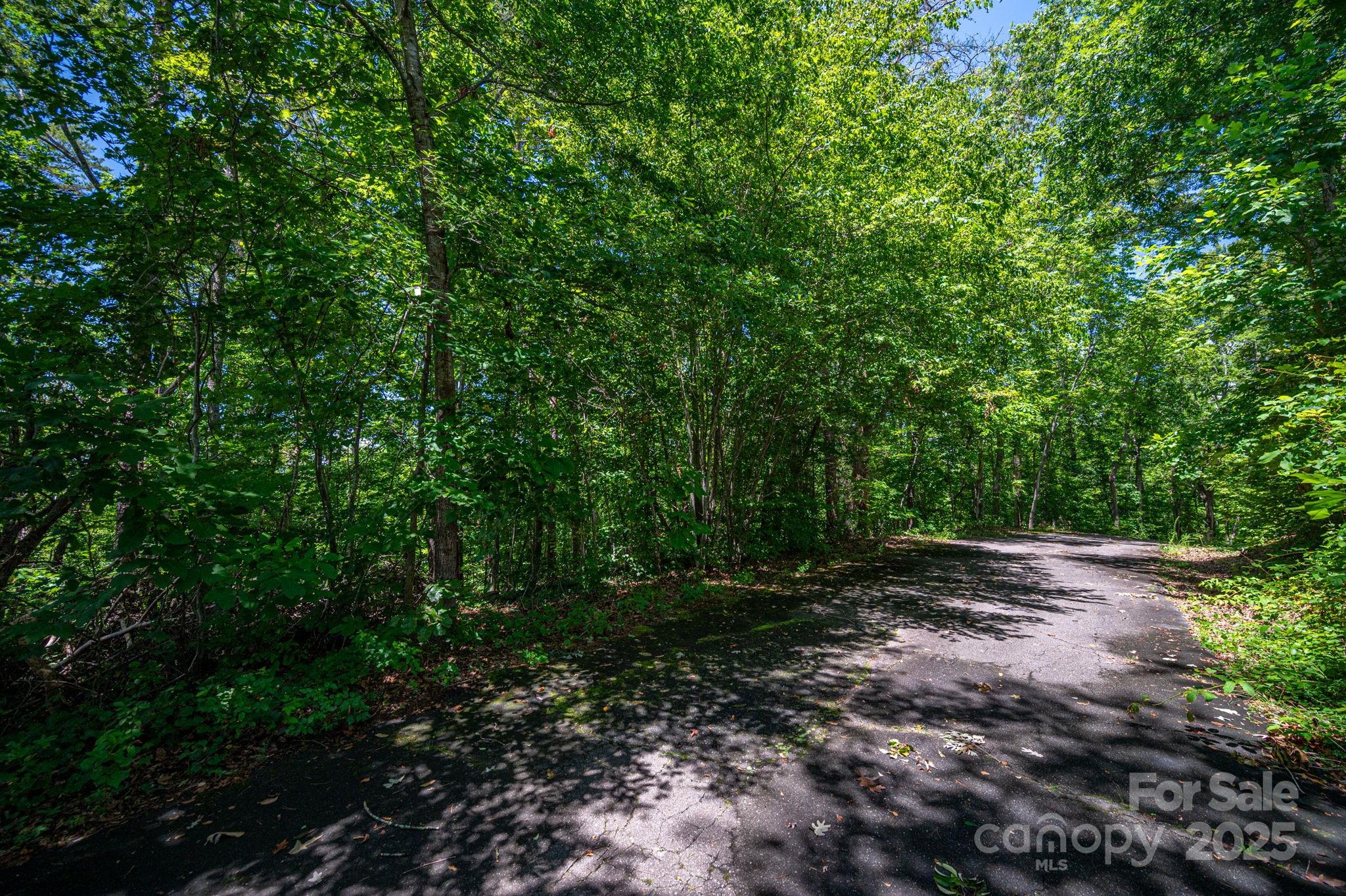 Lot 166 Plantation Drive Rutherfordton NC 28139
