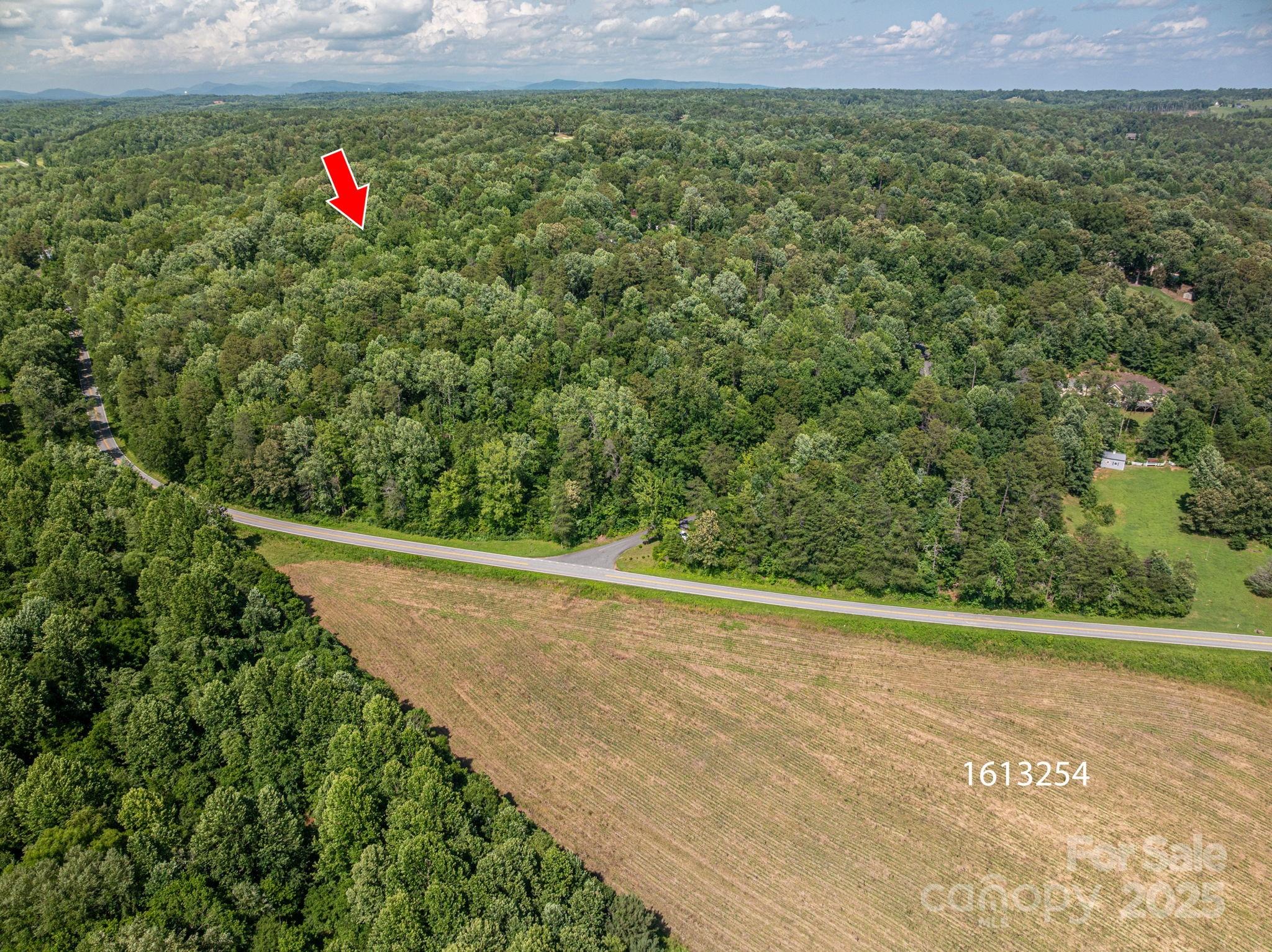 Lot 166 Plantation Drive Rutherfordton NC 28139