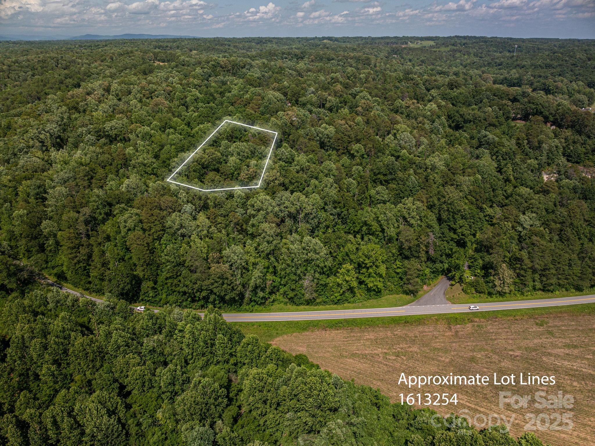 Lot 166 Plantation Drive Rutherfordton NC 28139