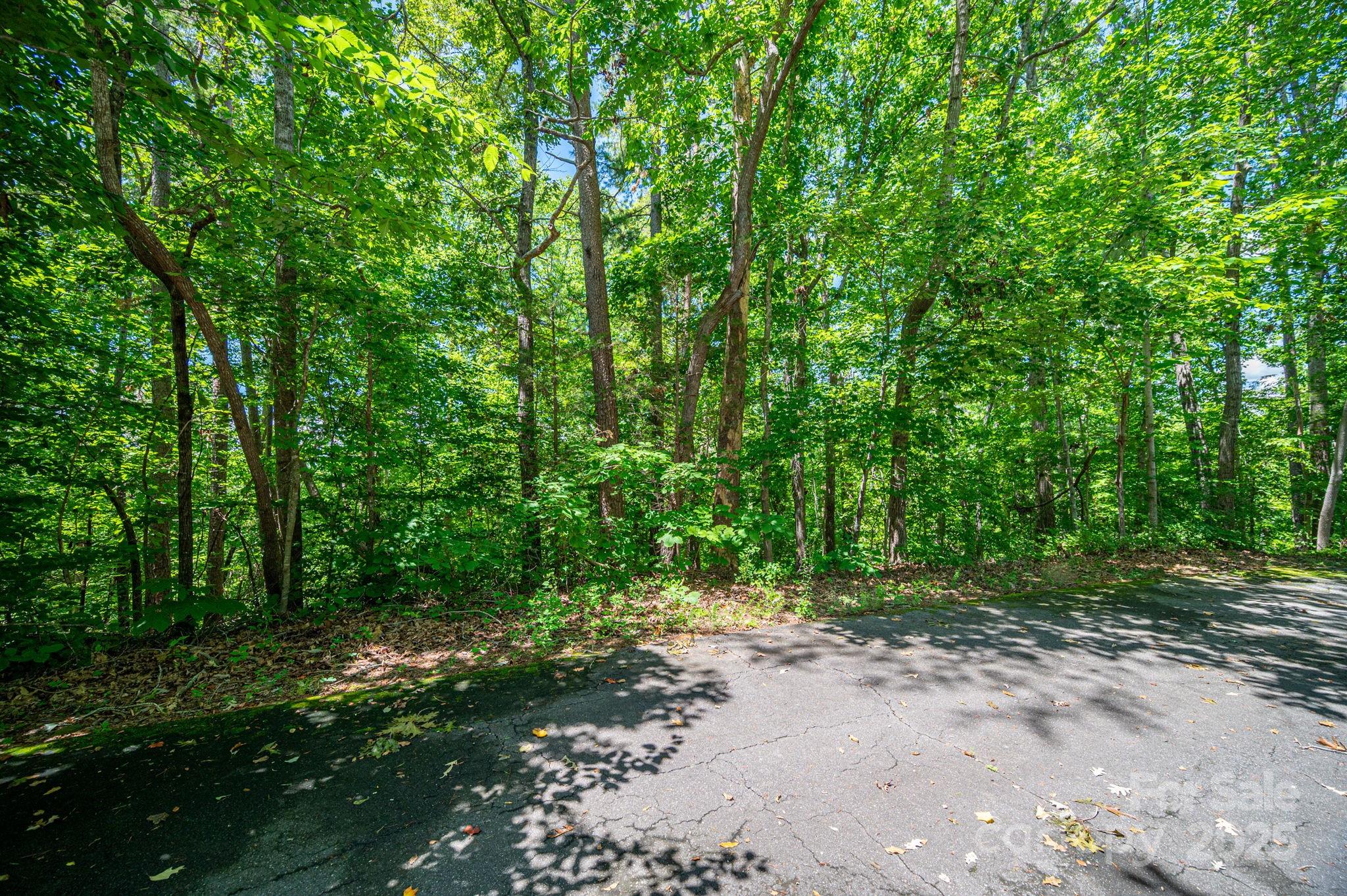 Lot 166 Plantation Drive Rutherfordton NC 28139