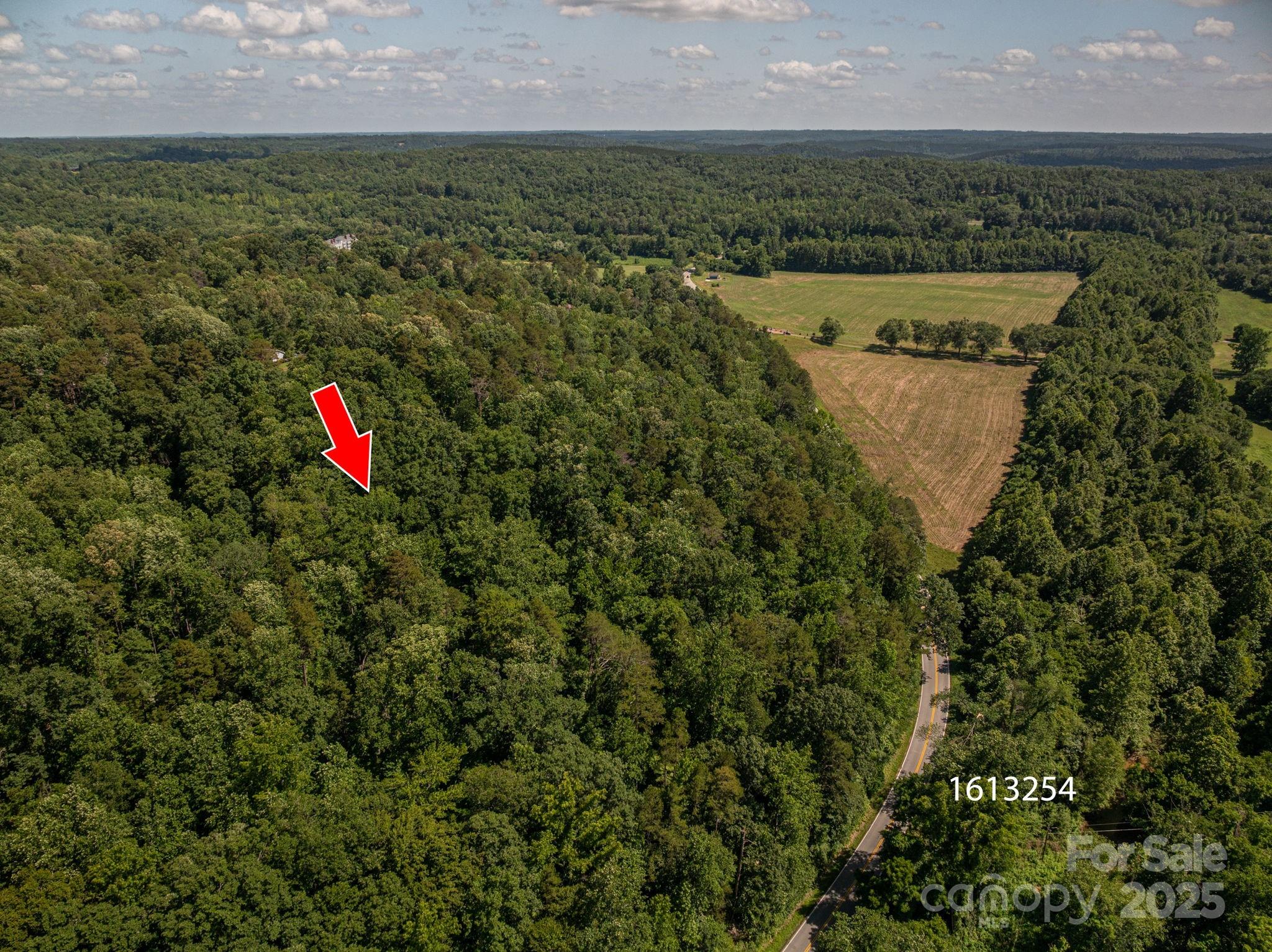 Lot 166 Plantation Drive Rutherfordton NC 28139