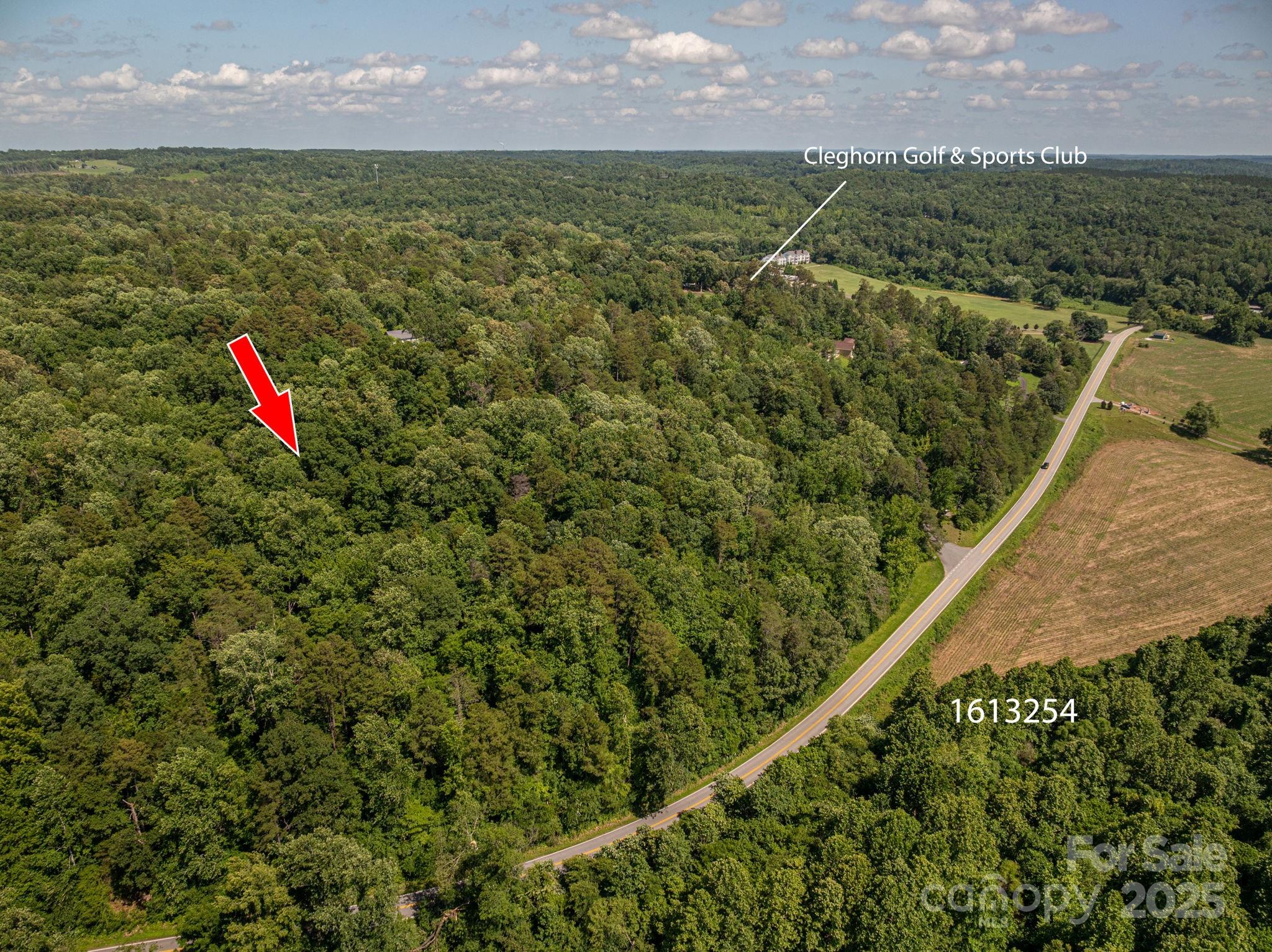 Lot 166 Plantation Drive Rutherfordton NC 28139