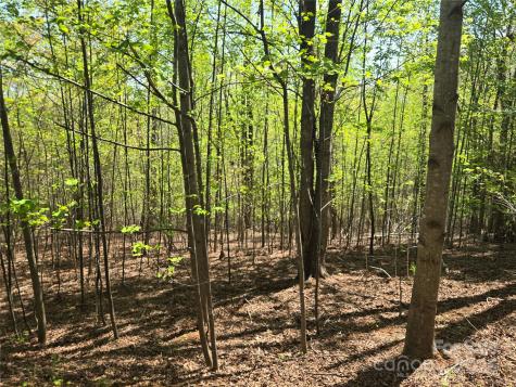 Lot 14 Back Hollow Drive Lake Lure NC 28746