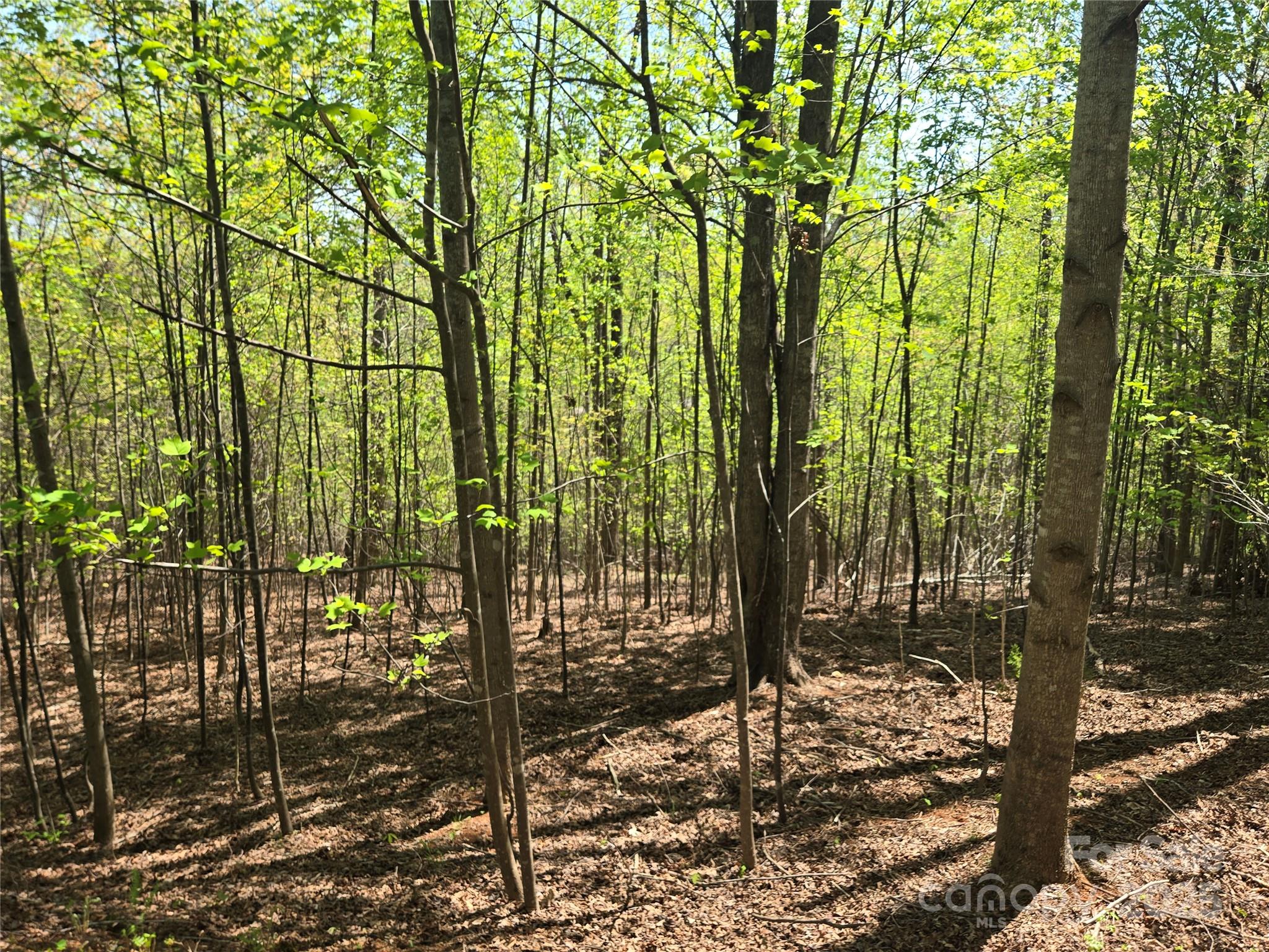 Lot 14 Back Hollow Drive Lake Lure NC 28746