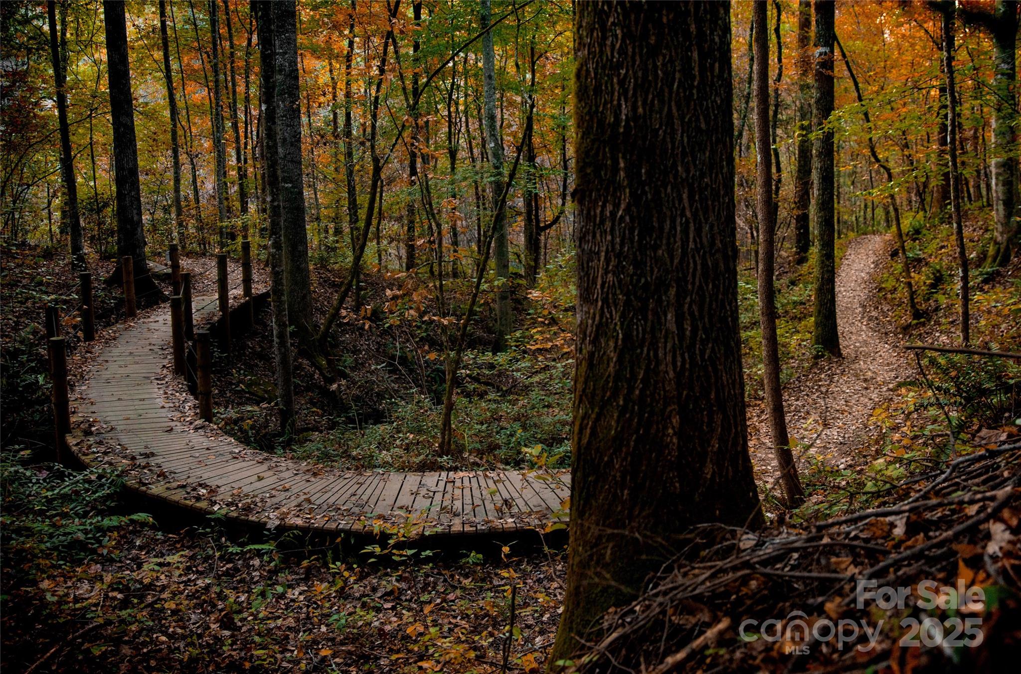 Lot 14 Back Hollow Drive Lake Lure NC 28746