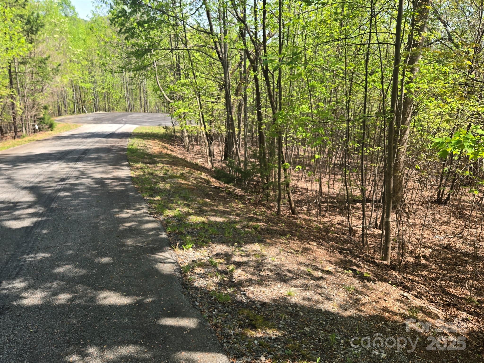 Lot 14 Back Hollow Drive Lake Lure NC 28746