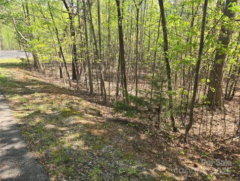 Lot 14 Back Hollow Drive Lake Lure NC 28746