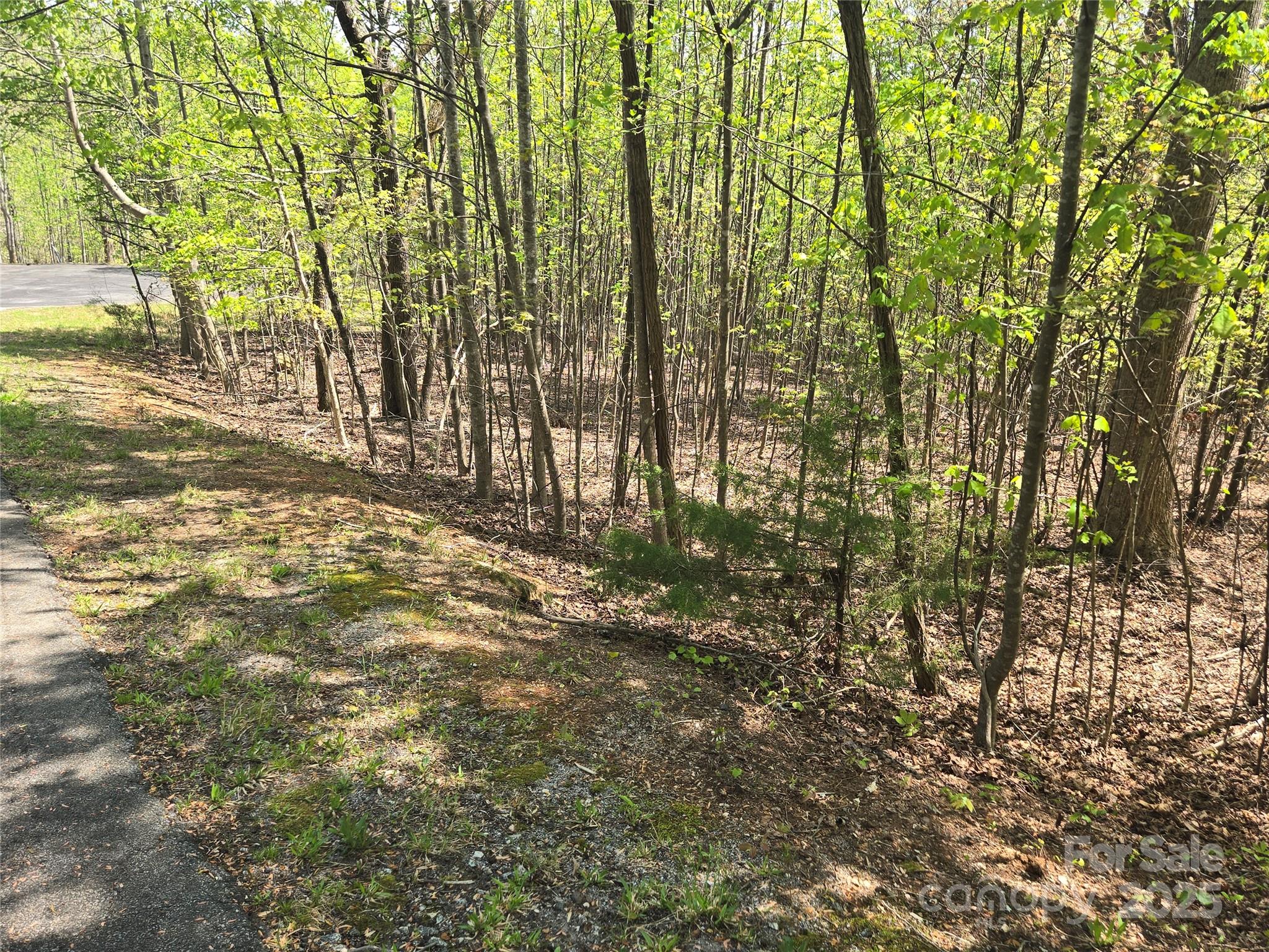 Lot 14 Back Hollow Drive Lake Lure NC 28746
