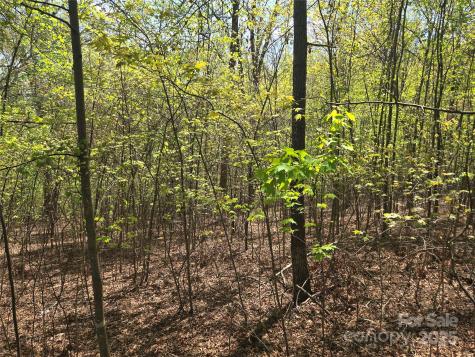 Lot 14 Back Hollow Drive Lake Lure NC 28746