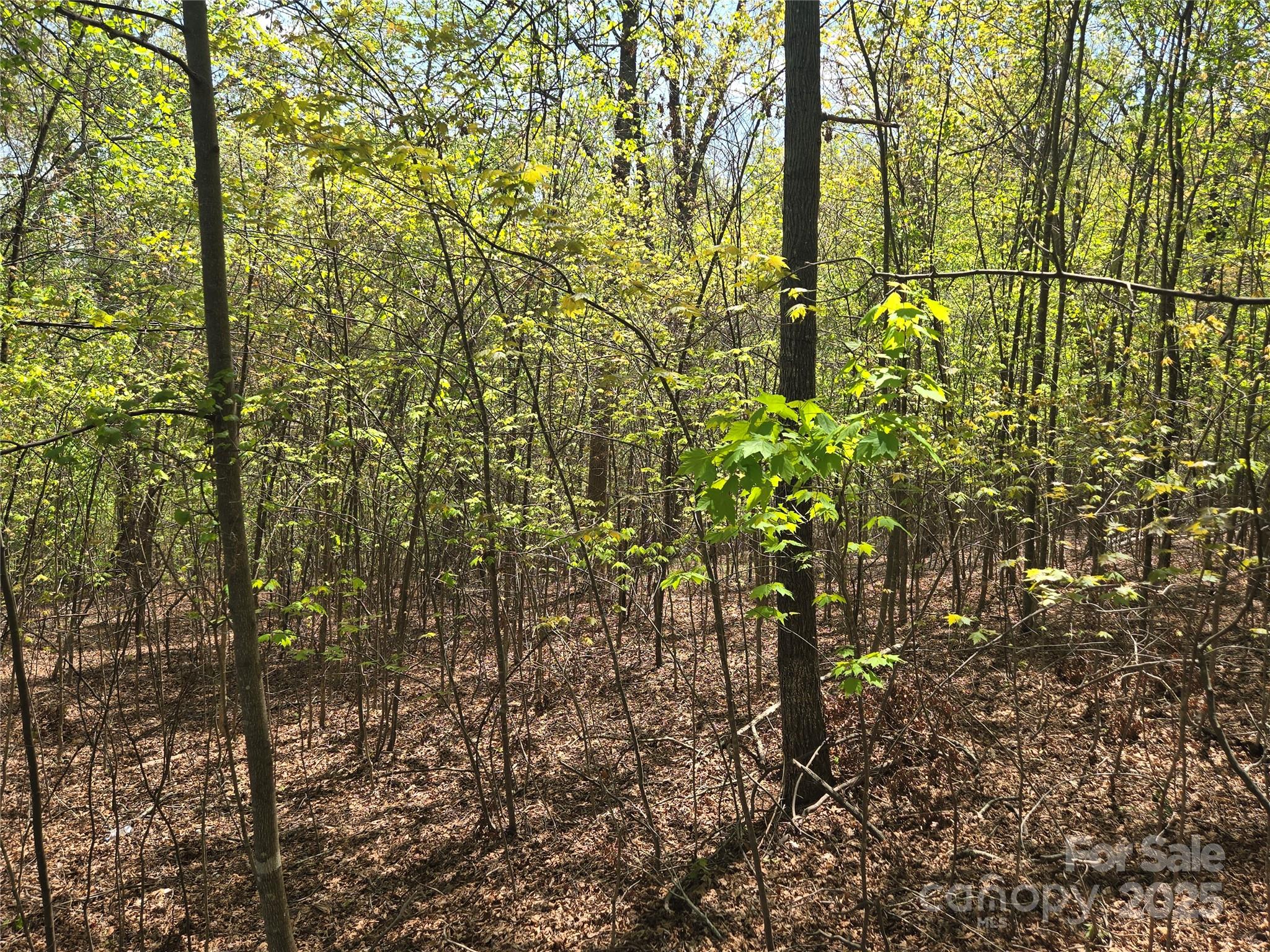 Lot 14 Back Hollow Drive Lake Lure NC 28746