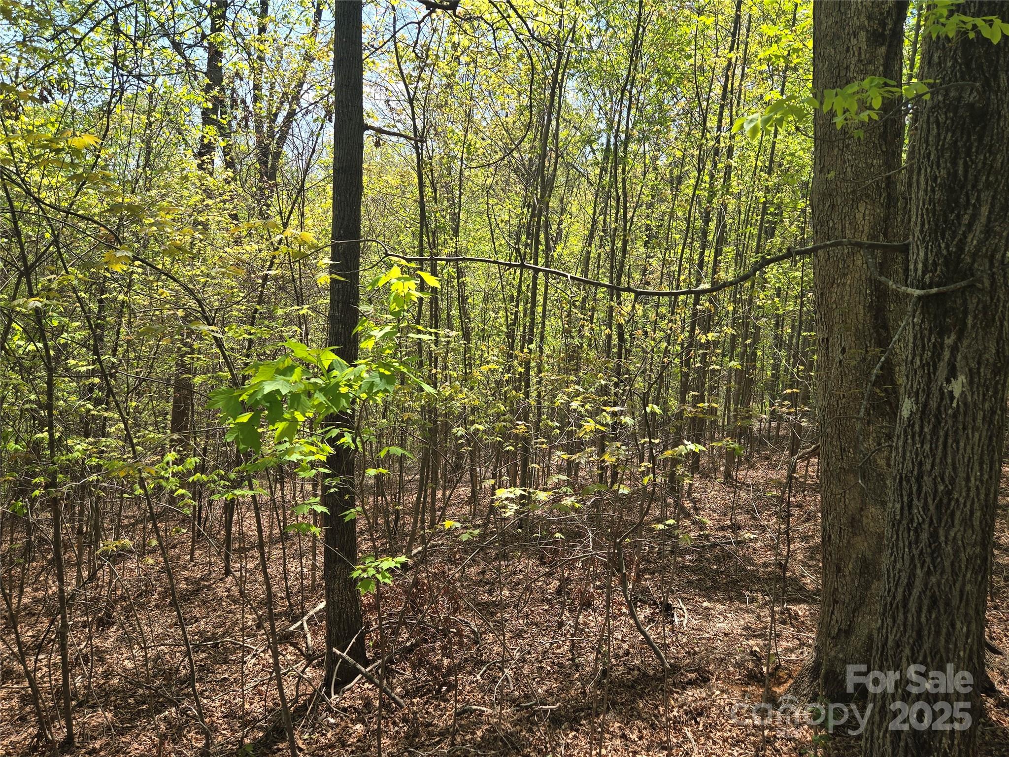 Lot 14 Back Hollow Drive Lake Lure NC 28746