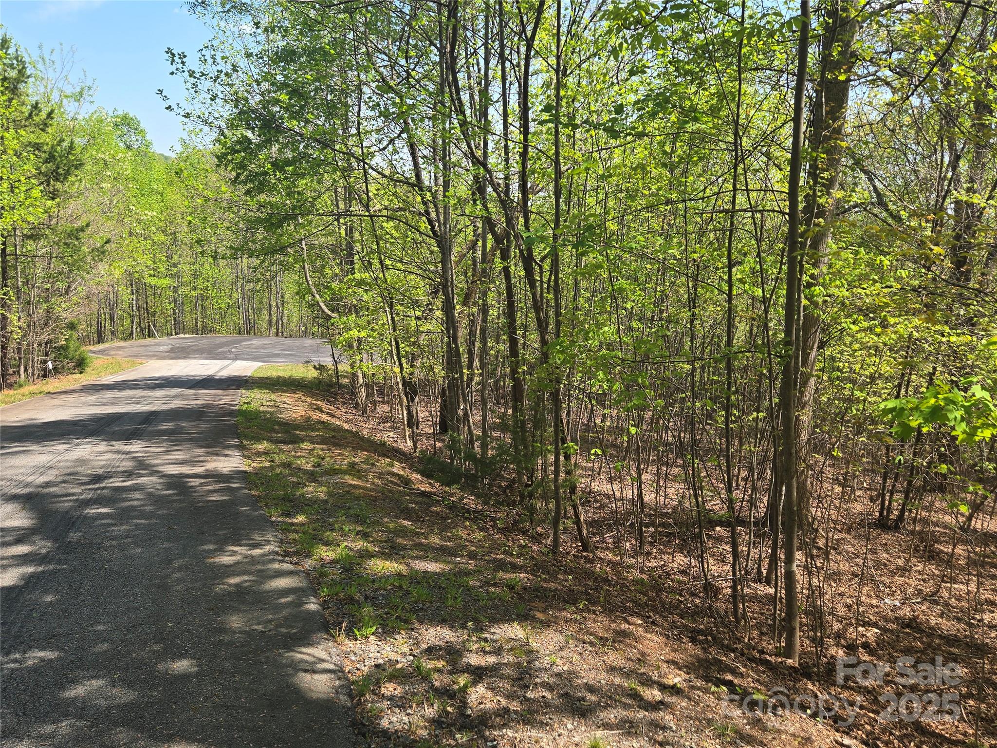 Lot 14 Back Hollow Drive Lake Lure NC 28746