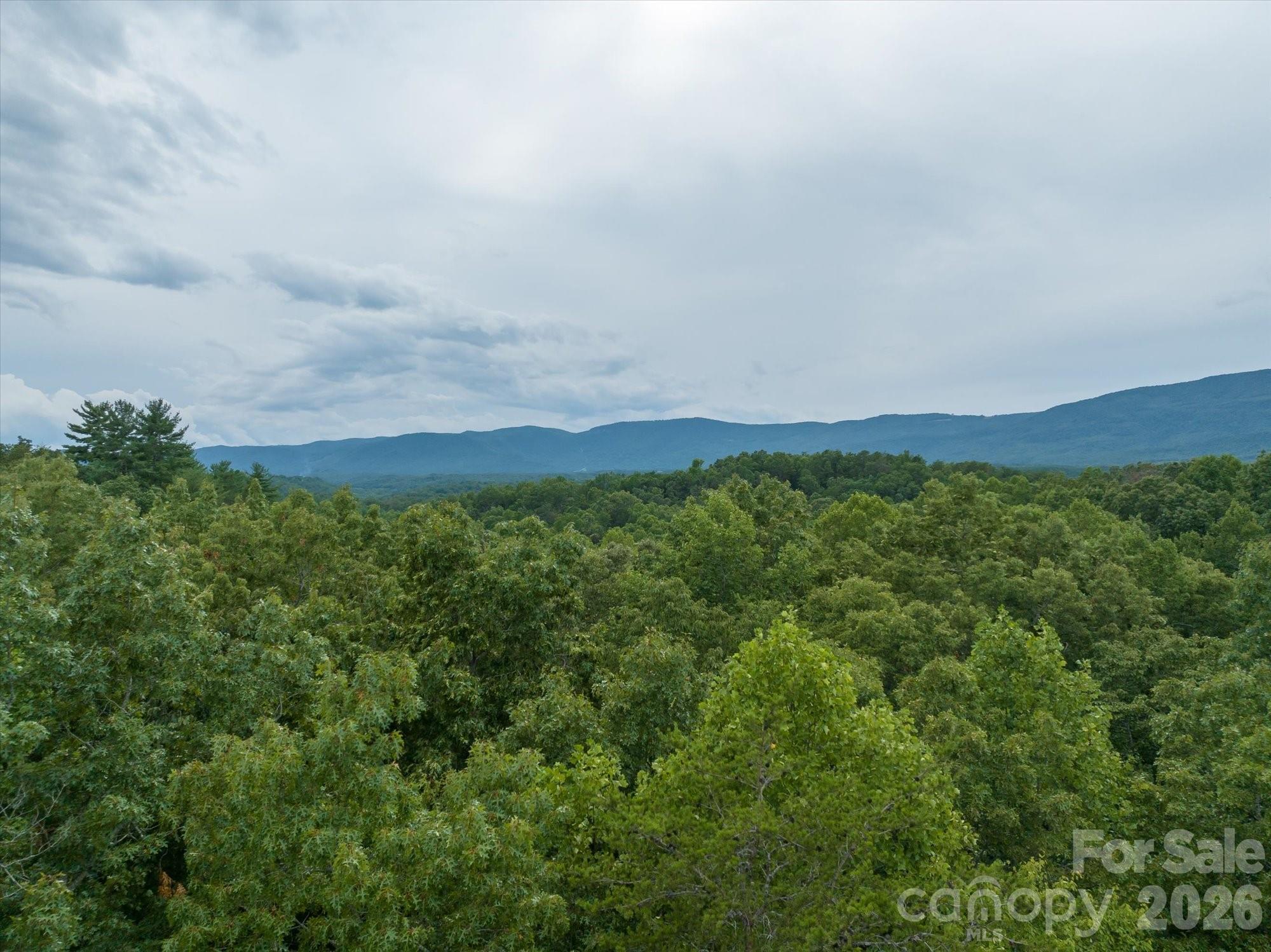 0 Twin Maple Way Mill Spring NC 28756