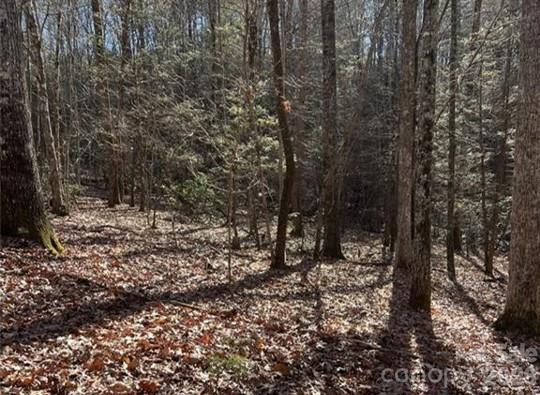 0 Twin Maple Way Mill Spring NC 28756