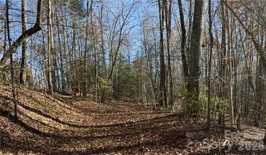 0 Twin Maple Way Mill Spring NC 28756