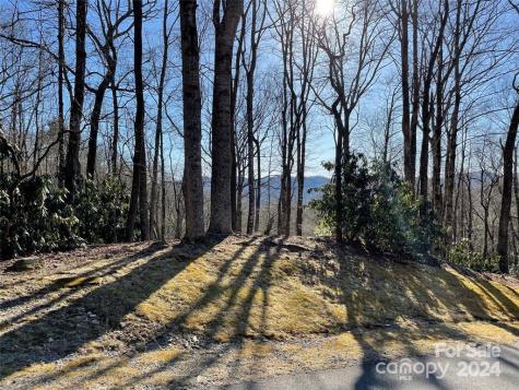 Tbd Tsuganawvi Court Brevard NC 28712