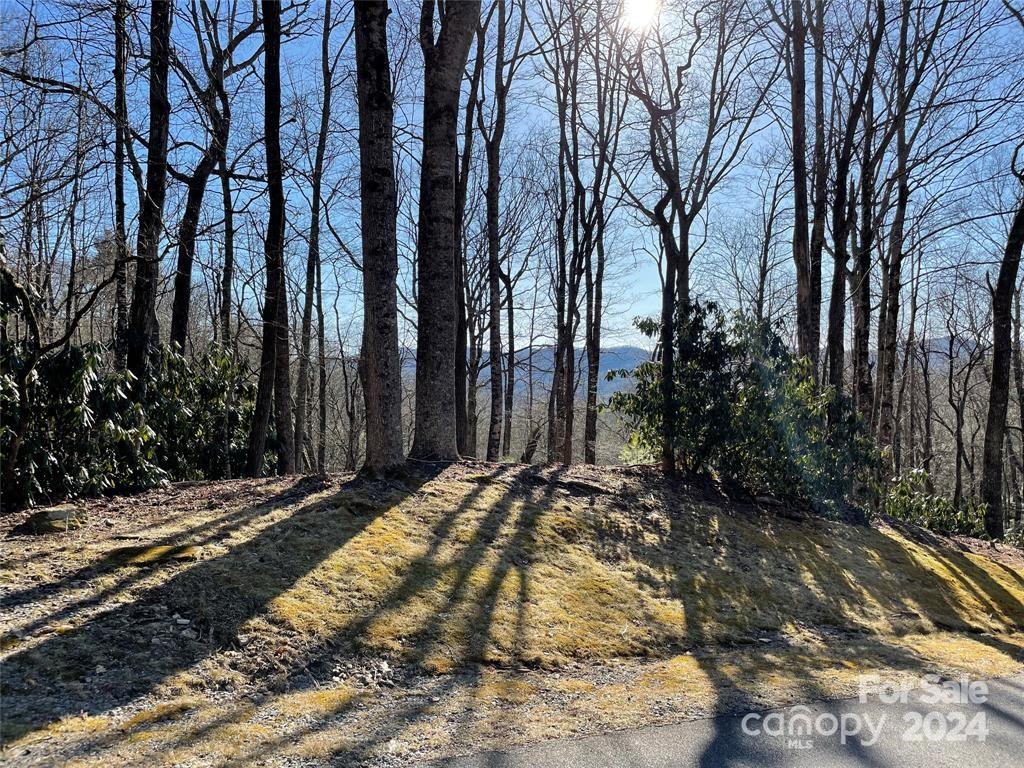 Tbd Tsuganawvi Court Brevard NC 28712