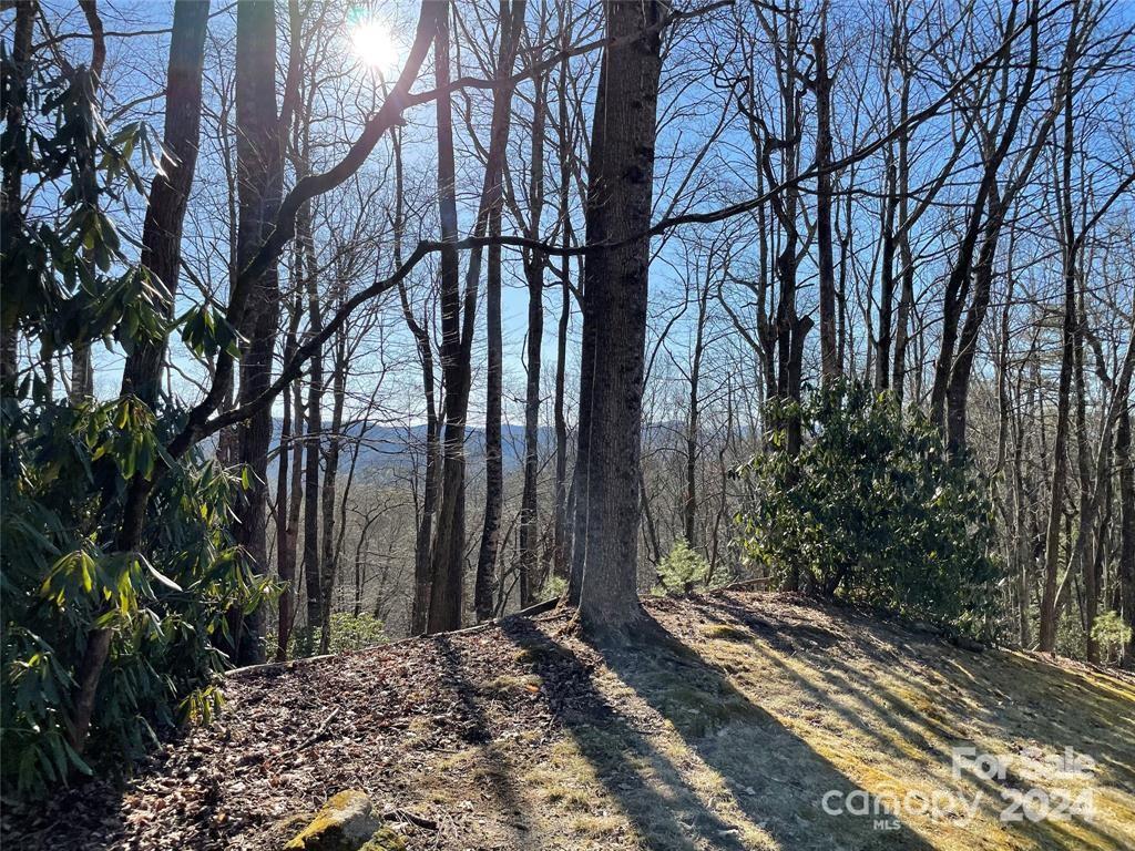 Tbd Tsuganawvi Court Brevard NC 28712