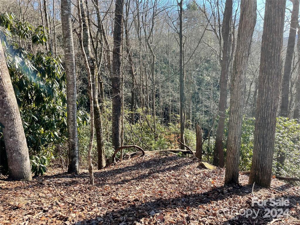 Tbd Tsuganawvi Court Brevard NC 28712