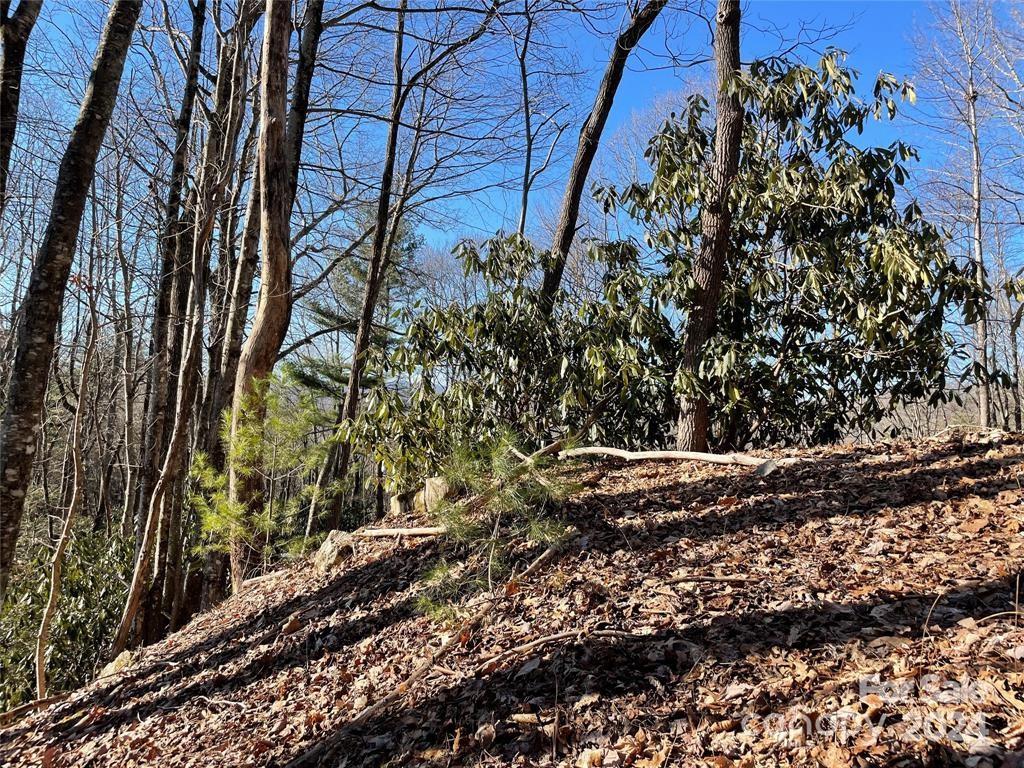 Tbd Tsuganawvi Court Brevard NC 28712