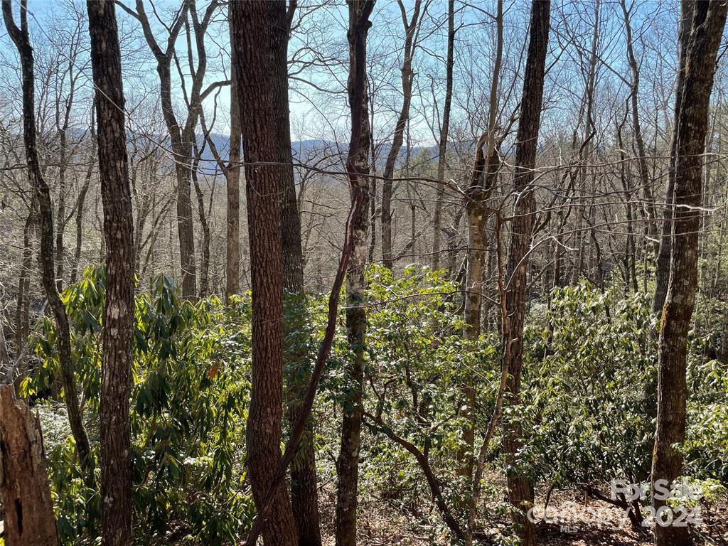 Tbd Tsuganawvi Court Brevard NC 28712