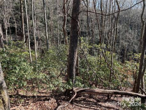 Tbd Tsuganawvi Court Brevard NC 28712