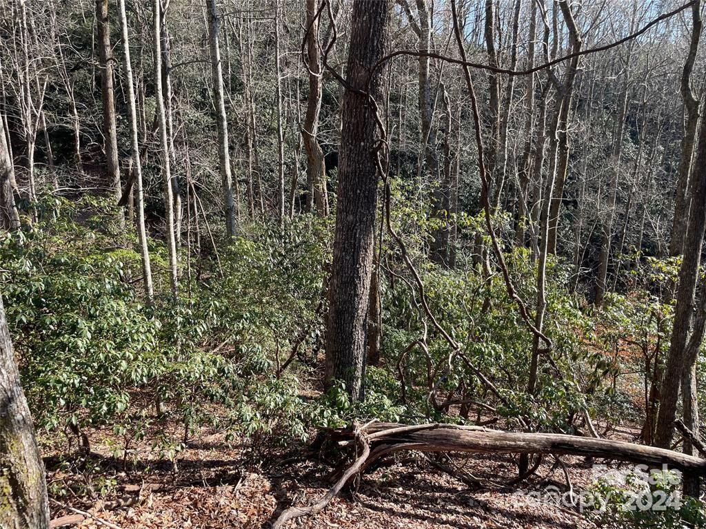 Tbd Tsuganawvi Court Brevard NC 28712