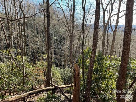 Tbd Tsuganawvi Court Brevard NC 28712