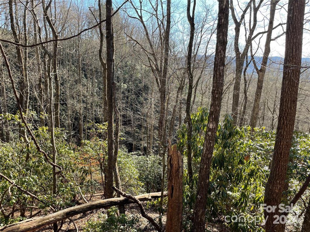 Tbd Tsuganawvi Court Brevard NC 28712