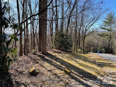 Tbd Tsuganawvi Court Brevard NC 28712