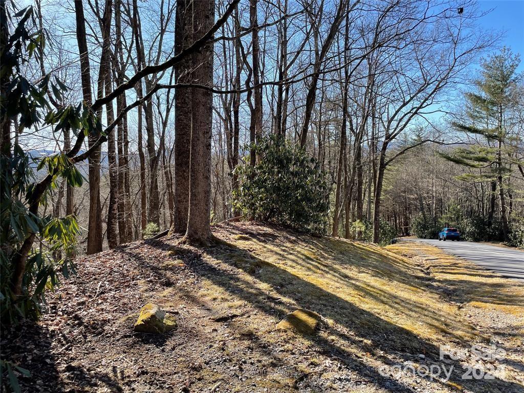 Tbd Tsuganawvi Court Brevard NC 28712